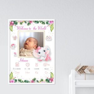 Baby Birth Frame Welcome Board | Custom Newborn Frame | Charmc Gift