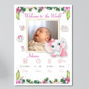 Custom Newborn Frame